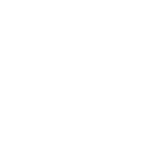 Swag_logo-bianco